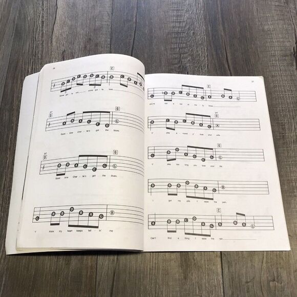 Hal Leonard Best of Willie Nelson EZ Play Today Vol 44 Easy Piano Keyboard Book - Picture 7 of 8